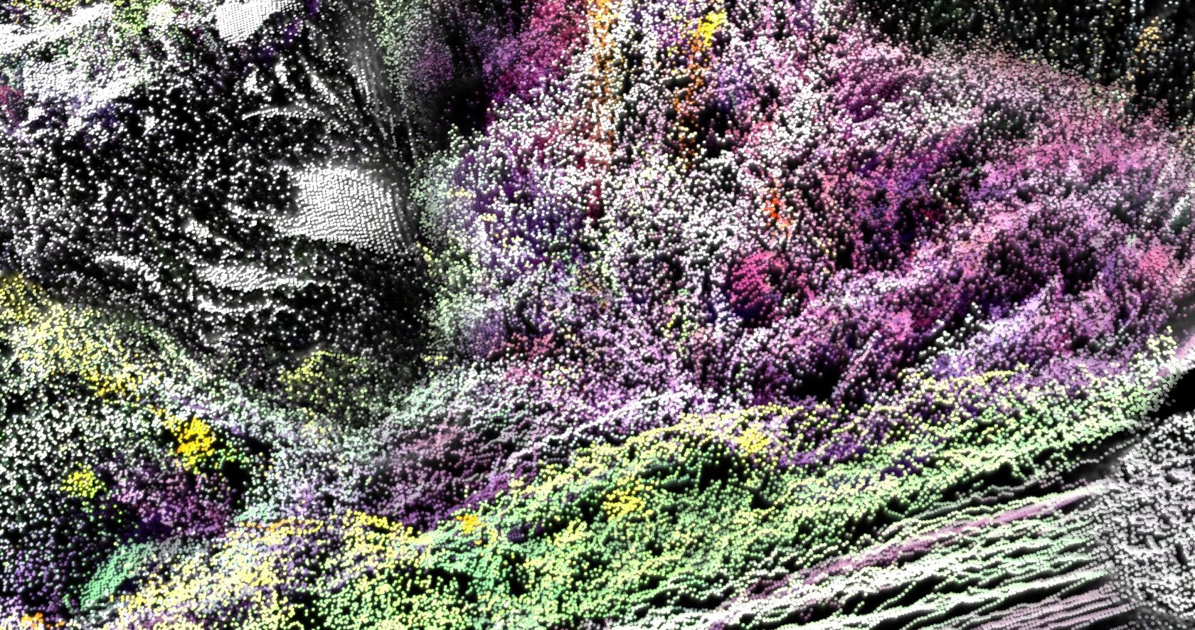 Liminal Space — image 12